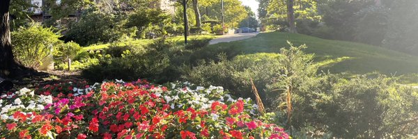 RowanW11 Profile Banner