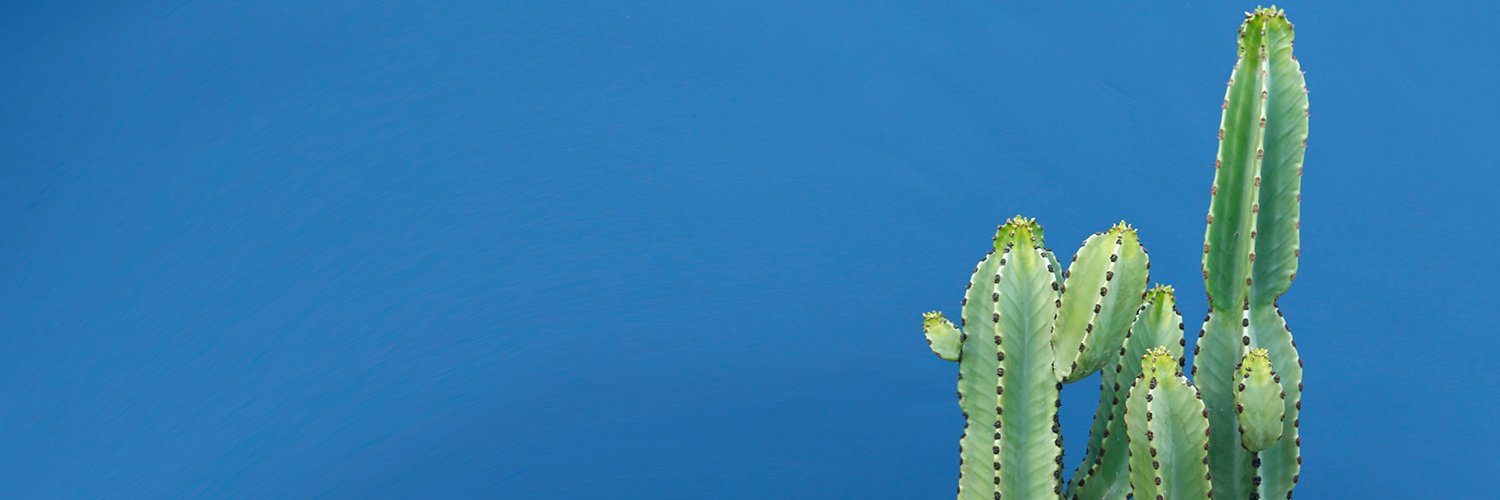 tanyamaia's profile banner image