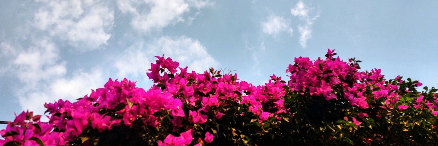 Becaritas's profile banner image