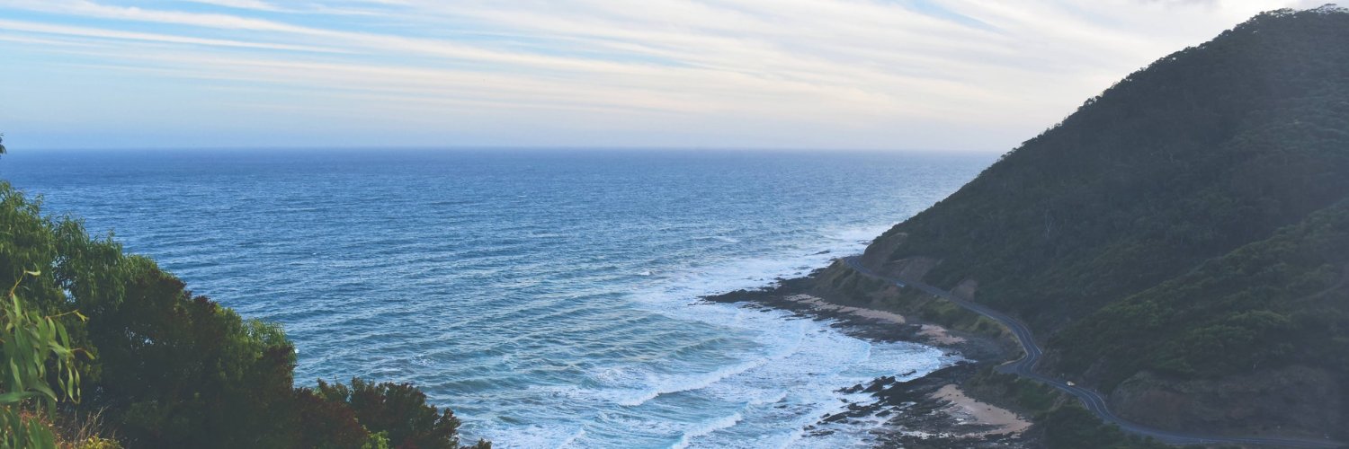 Dr Melina Vidoni banner