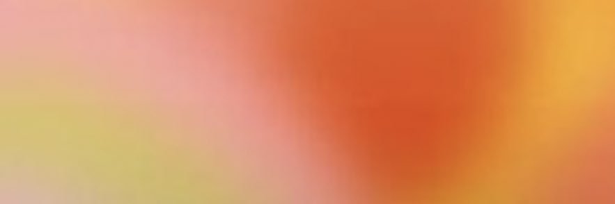 suadlzans's profile banner image