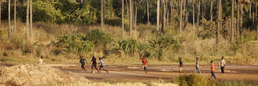 Déma ⭐⭐🧡 banner