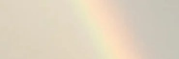 ponyu1111's profile banner image