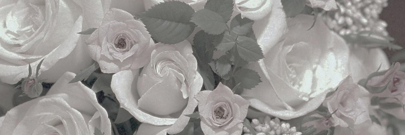 jvr666_'s profile banner image