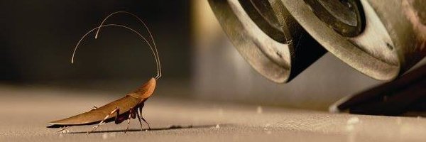 AnaCDay Profile Banner