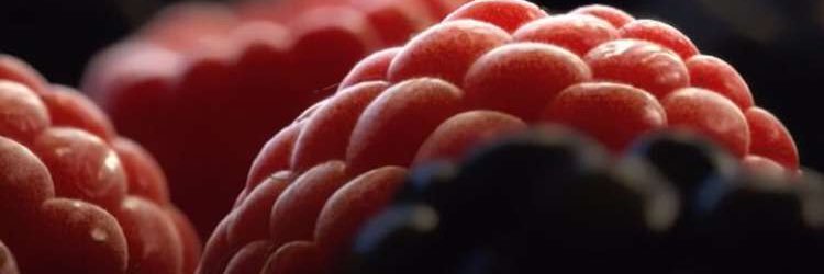 sbro22210's profile banner image
