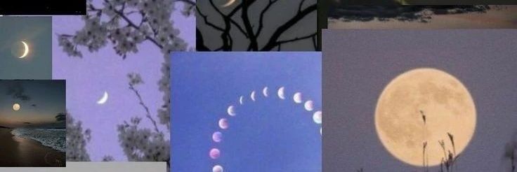 CamiTritten's profile banner image