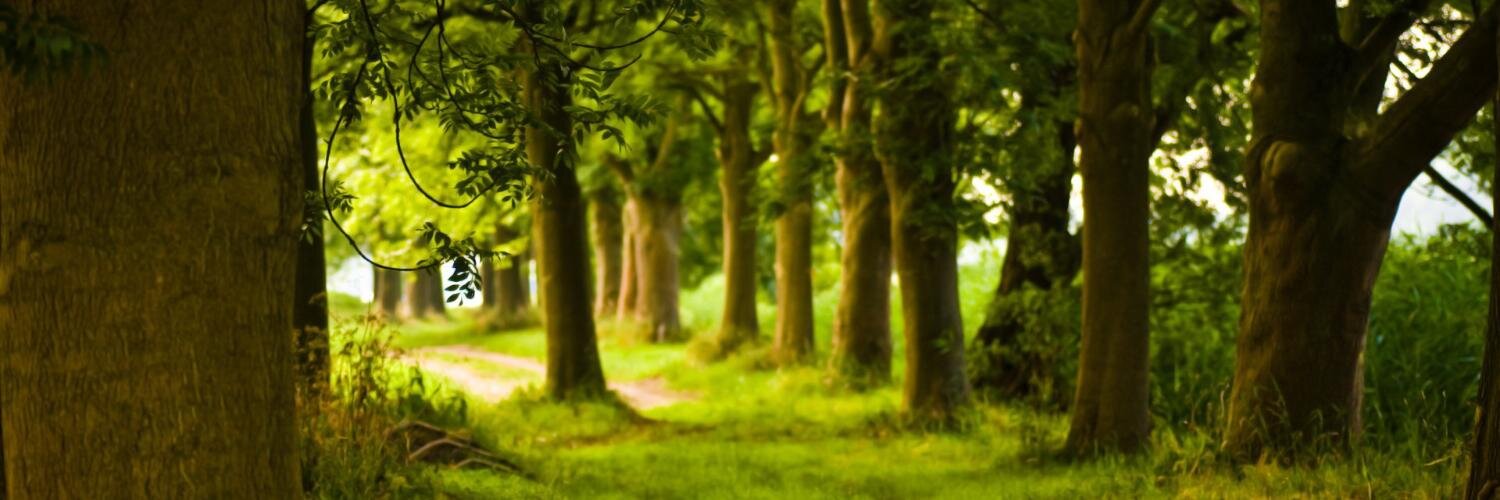 vinodh_22's profile banner image