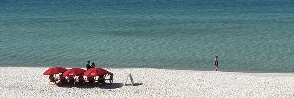 RoseSchooler Profile Banner