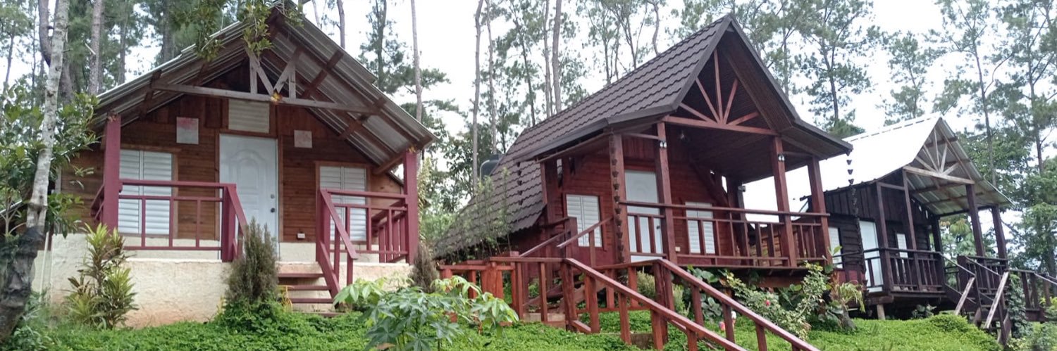 Papo Fernández banner