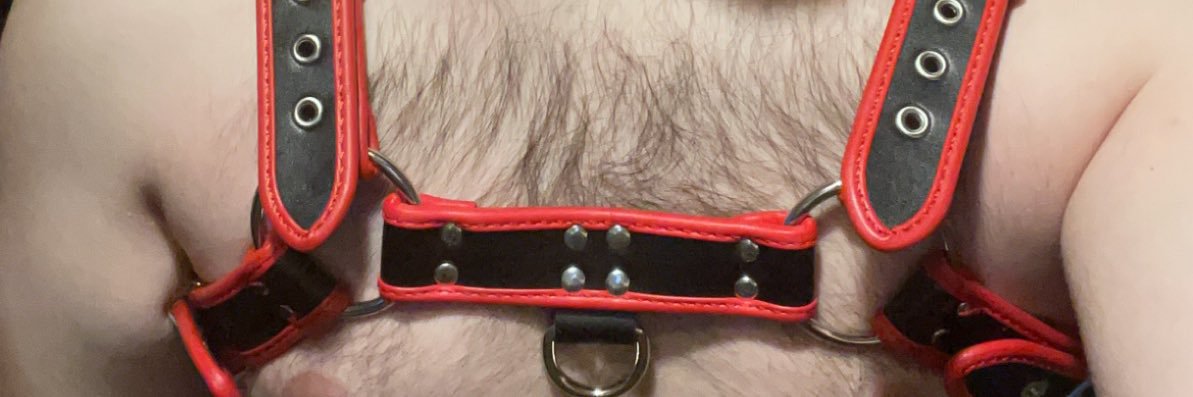 Pupper_Aki's profile banner image