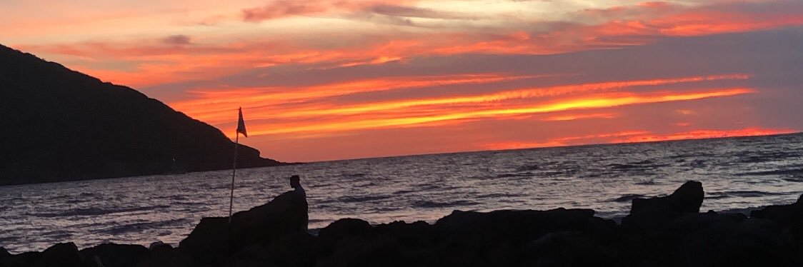 PamPink15's profile banner image