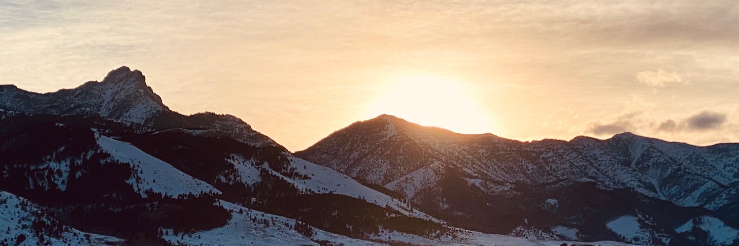evaskidmore's profile banner image