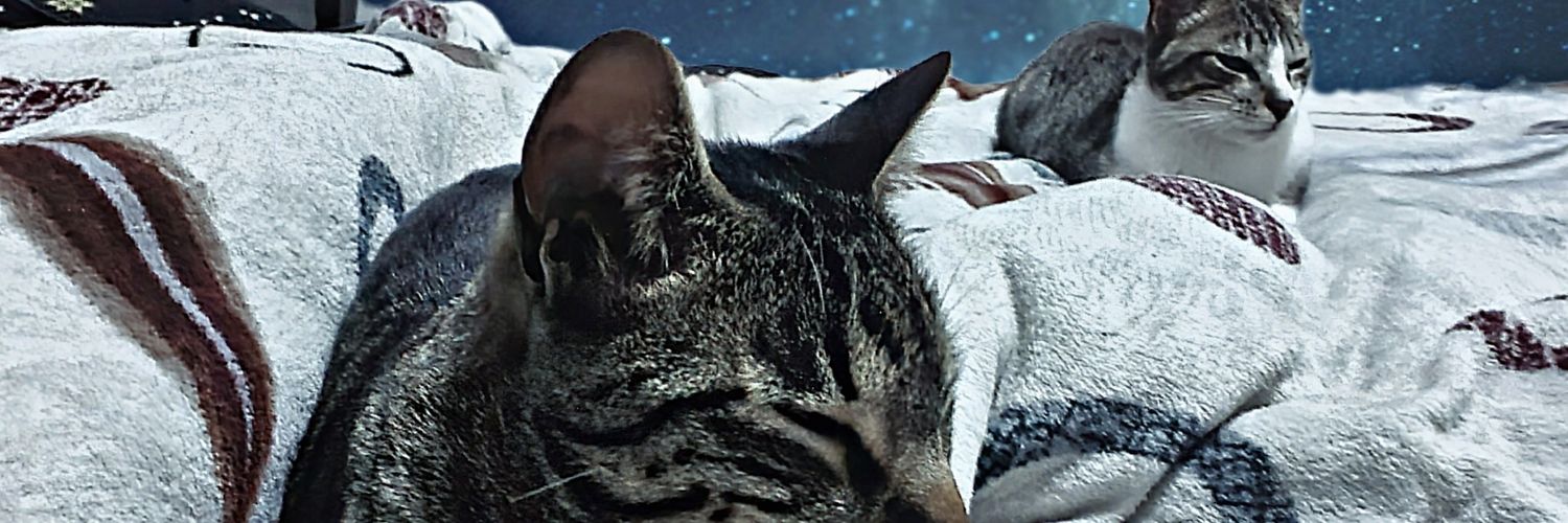 TiaMay_13's profile banner image