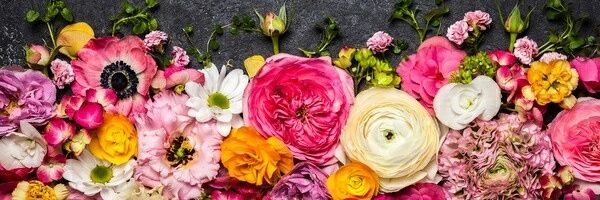 samah14047's profile banner image