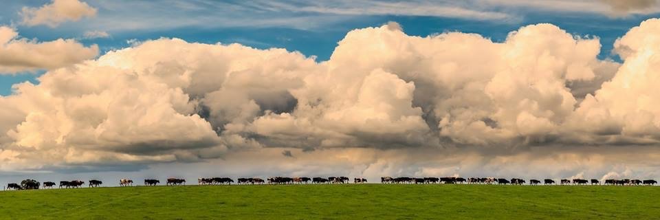 FarmingPartners banner