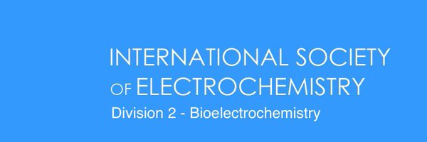 ISE_Division2 Profile Banner