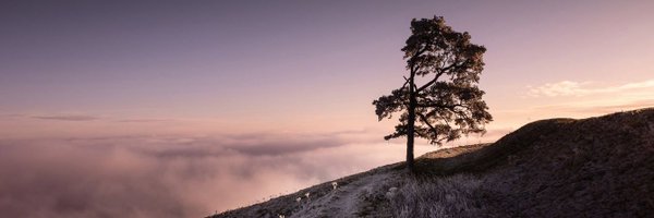 ISWATERWETT Profile Banner