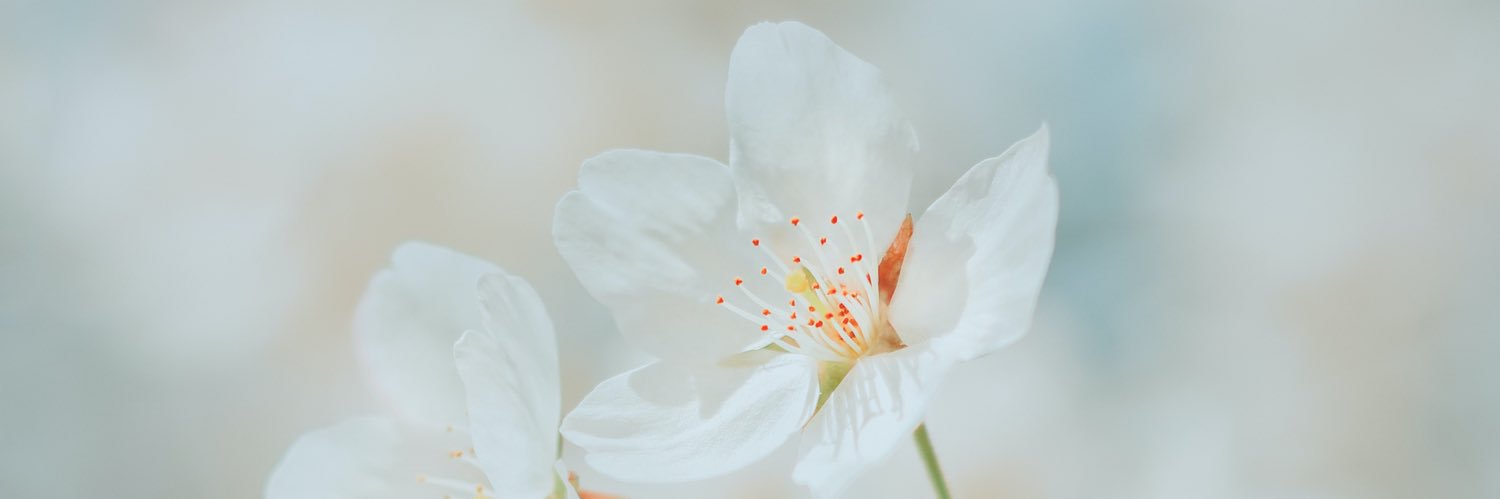 jaz92895's profile banner image
