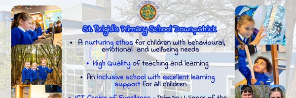 stbrigidspsdpk Profile Banner