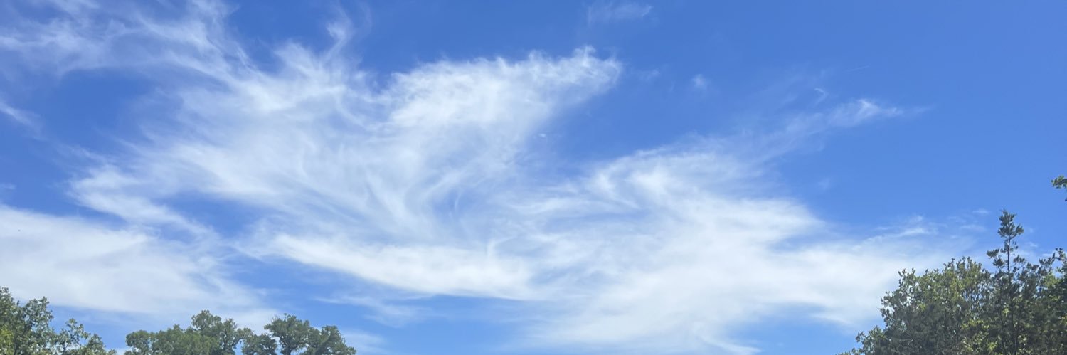 mariesapizza's profile banner image
