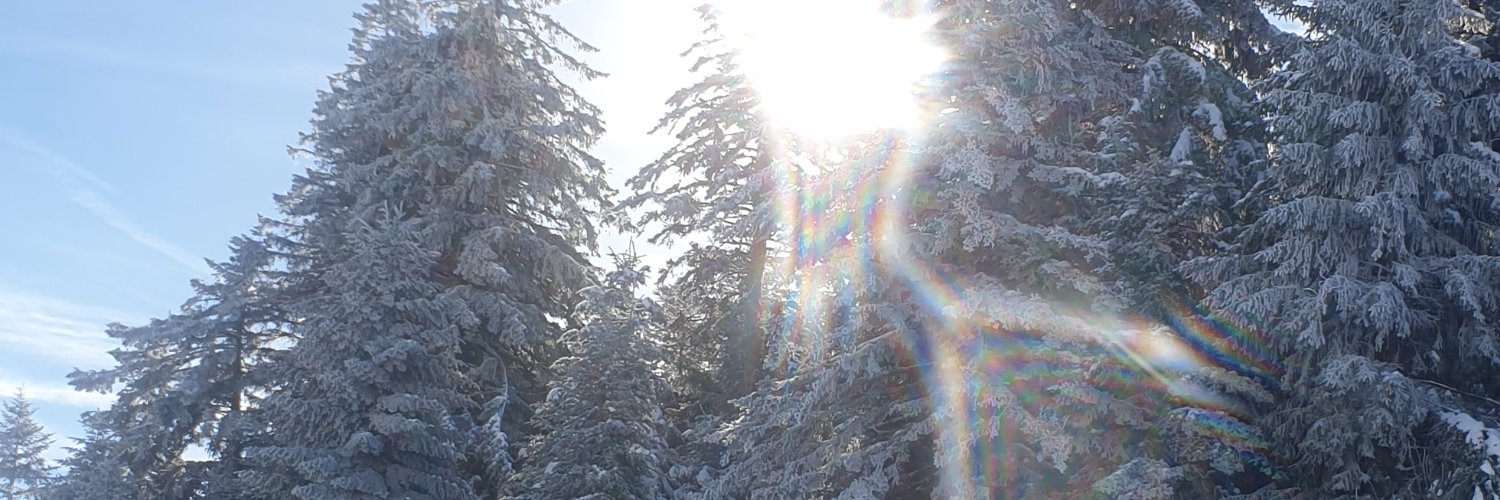 libellulea's profile banner image