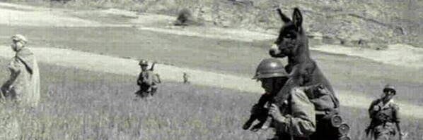 Unknown Footnotes banner