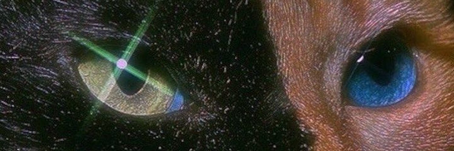beatriceebeigbe's profile banner image