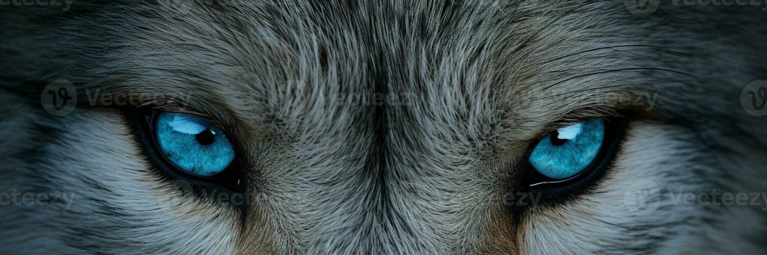 Critarion_Force's profile banner image