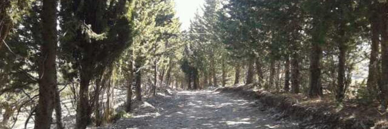 Giumaric's profile banner image