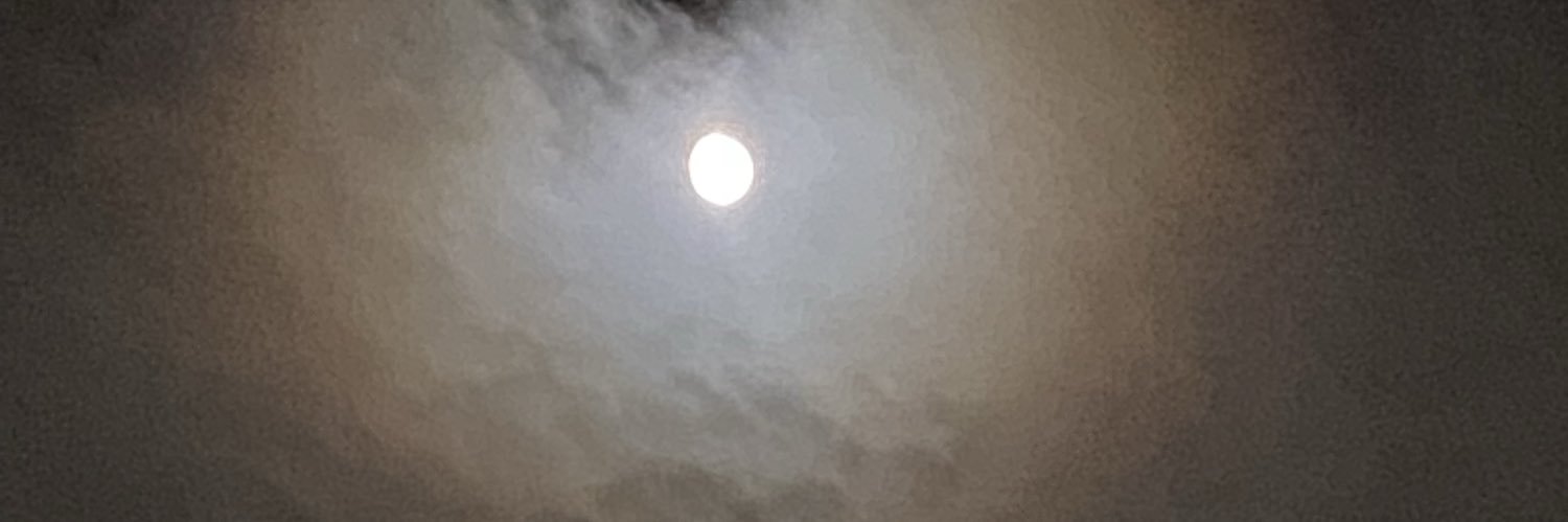 さんポです🐯🐻😸🗣🍟🥤🎬そろそろ2019年以前の生活に戻りましょう！ banner