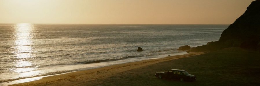 Trilliamsss's profile banner image
