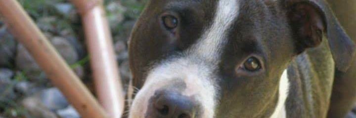 slipnath's profile banner image