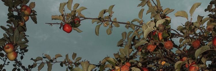 astrodonut__'s profile banner image