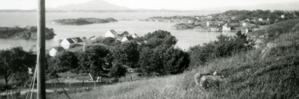 MrWathne's profile banner image