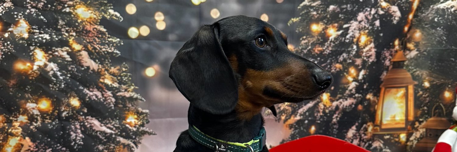 chloehazelbrown's profile banner image