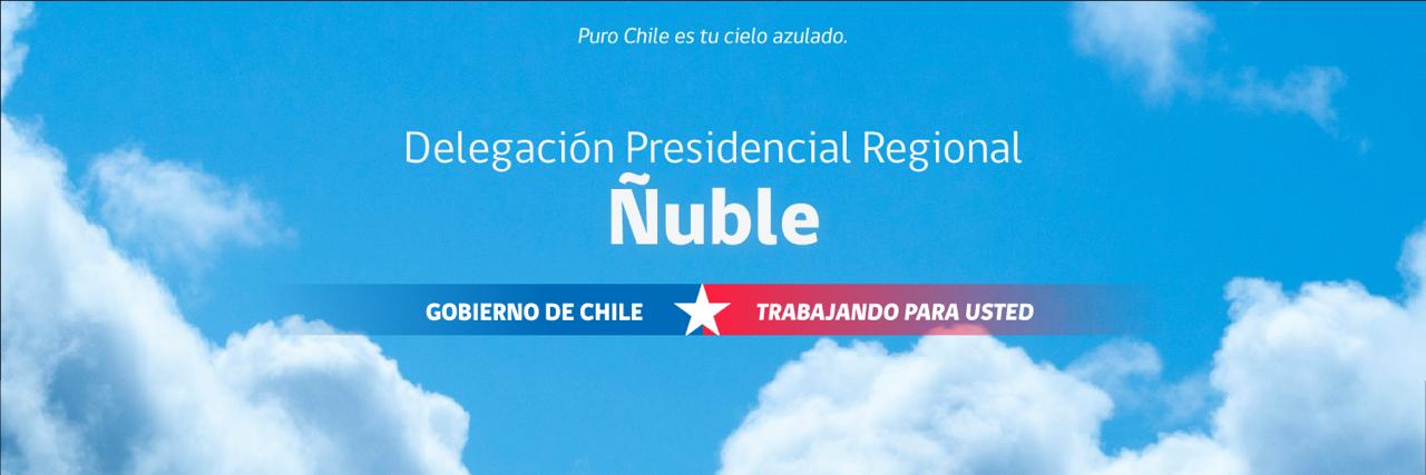 Delegación Presidencial Regional de Ñuble banner