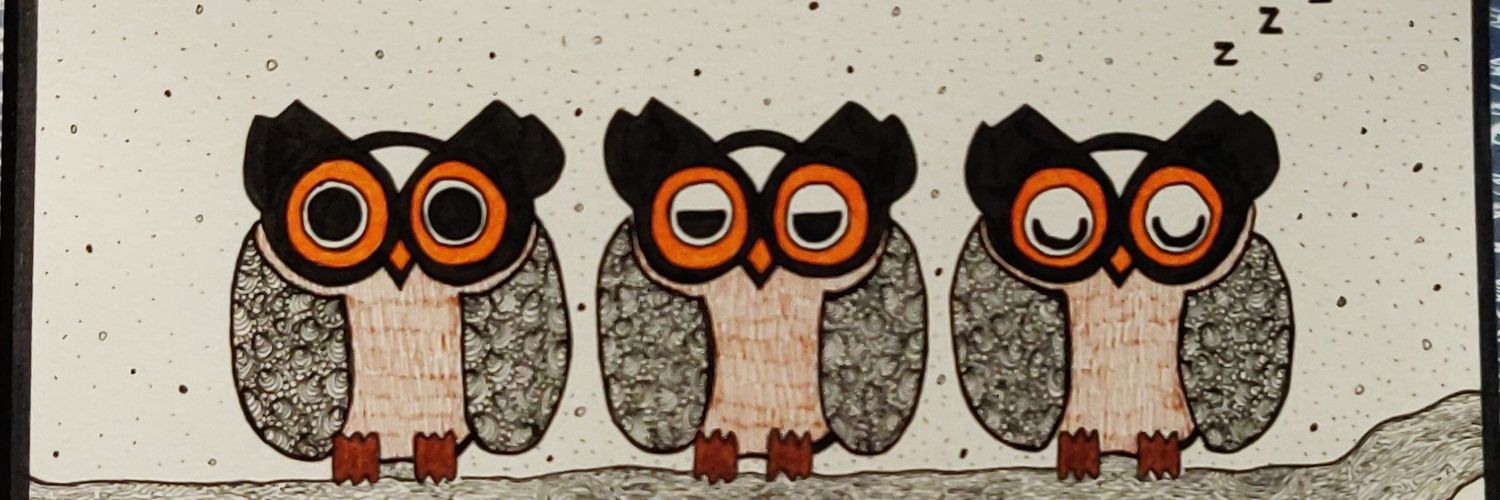 pnmnsh's profile banner image