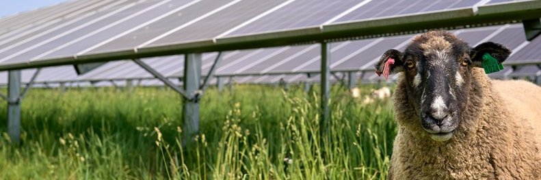The Pennsylvania Solar Center banner