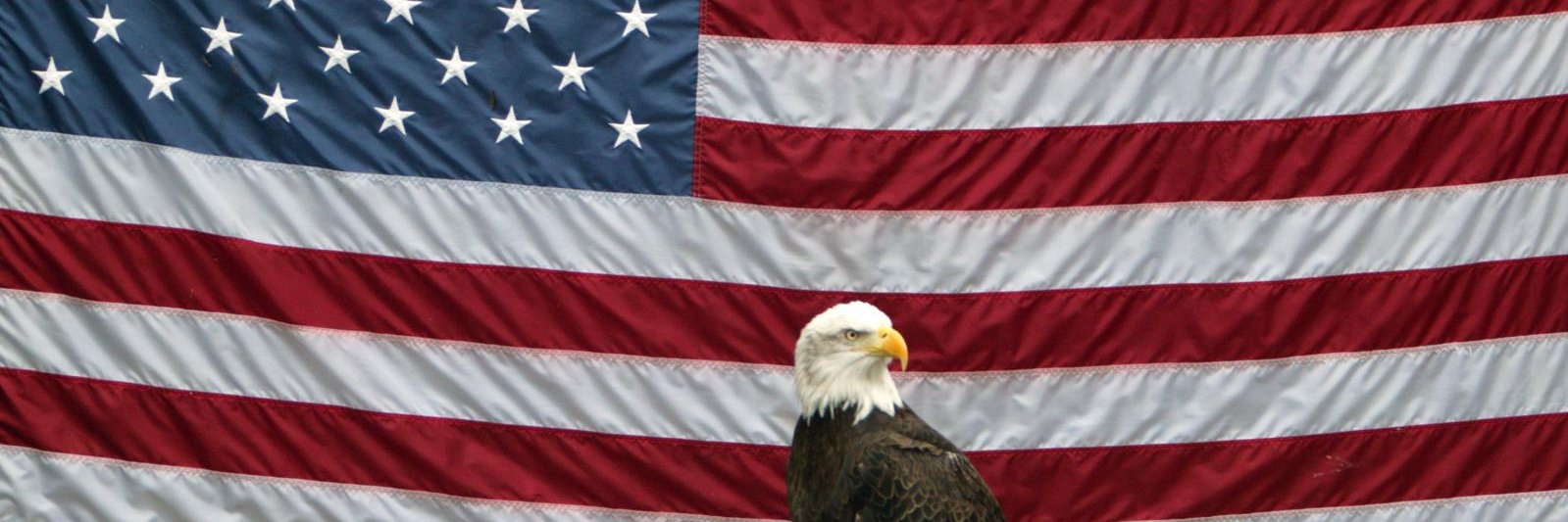 Organization of Concerned Americans banner