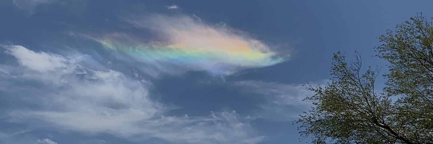 fiore_rainone's profile banner image