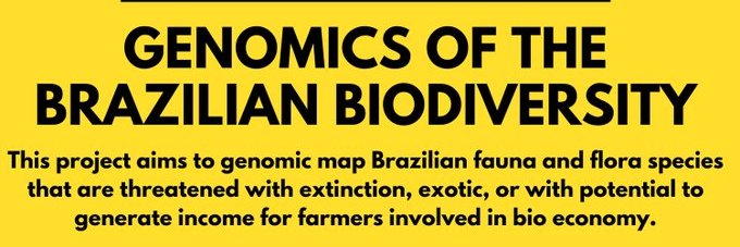 Alexandre Aleixo banner