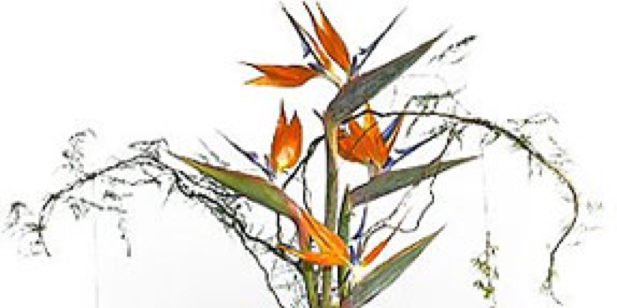 abueslaam's profile banner image