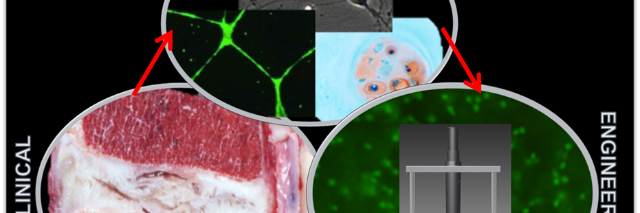 Purmessur Lab banner