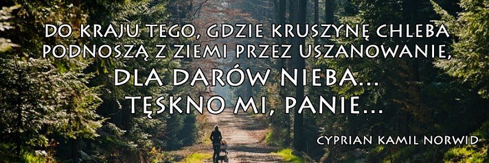 MATYLDA__'s profile banner image