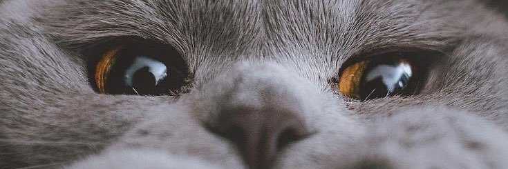 gabiredecker_'s profile banner image