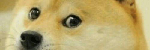 Destro banner