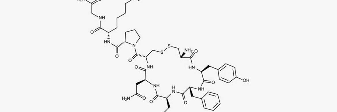 Pacchetti Massimo banner