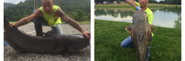 brandon brengartner banner