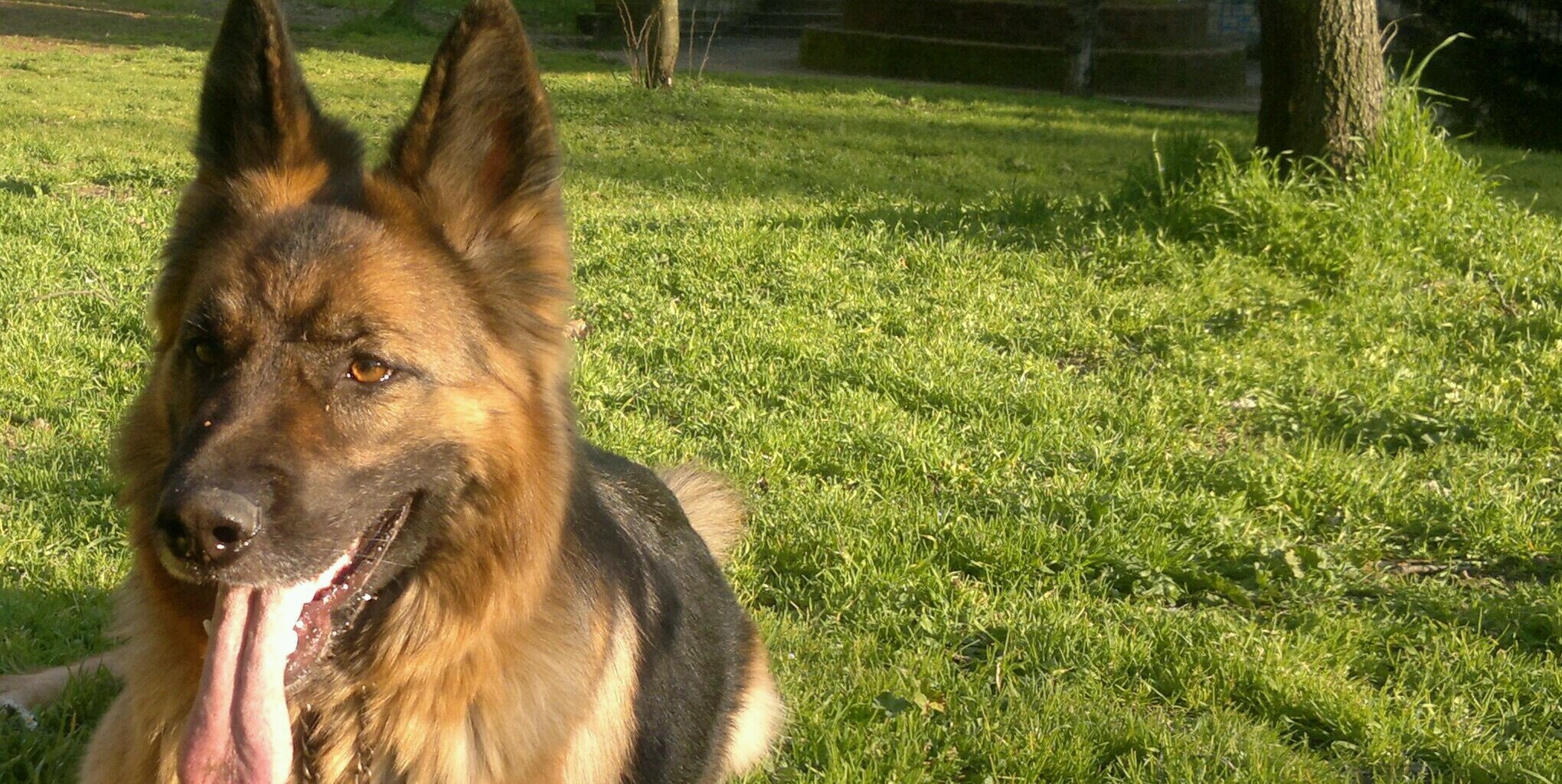 MaxDG63's profile banner image
